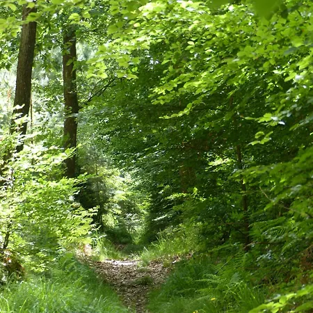 Auszeit Im Gruenen Fuer 2 - 8 Personen Mit Garten Holiday home *