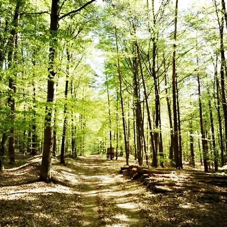 Holiday home Auszeit Im Gruenen Fuer 2 - 8 Personen Mit Garten