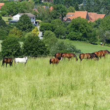 Auszeit Im Gruenen Fuer 2 - 8 Personen Mit Garten
